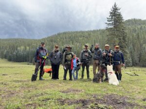 Trout Unlimited volunteers and their dogs standing in a mountain meadow above Chihuahueños Creek.