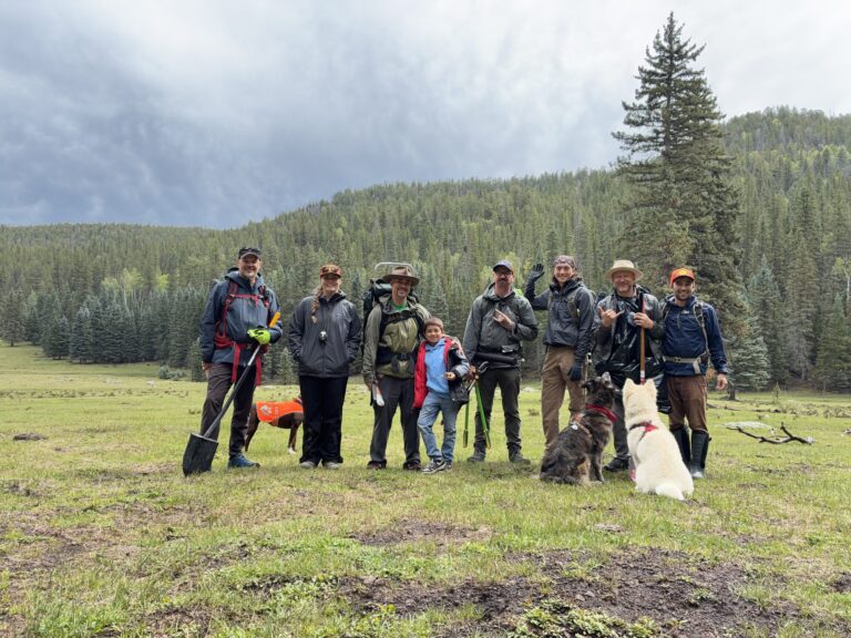 Trout Unlimited volunteers and their dogs standing in a mountain meadow above Chihuahueños Creek.