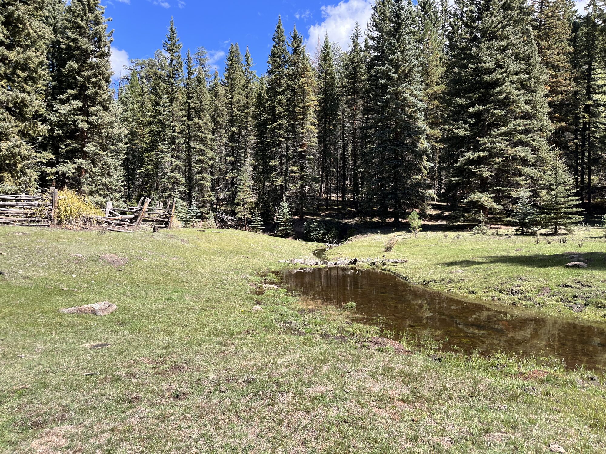 A calm, deep pool in a meadow stretch of Chihuahueños Creek with a wooden fence and conifer forest behind it.