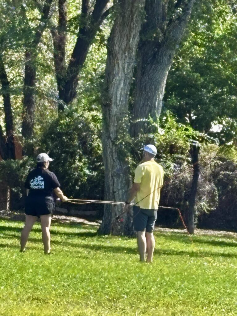 Two people practicing casting under the cottonwoods